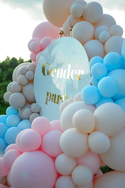Gender Reveal 