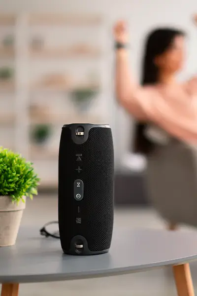 Enceintes portables sans-fil