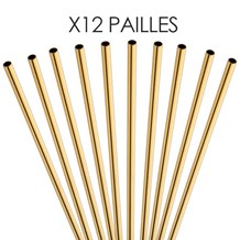 PAILLE EN INOX OR -  14CM /ø6MM - 12 UNITÉS