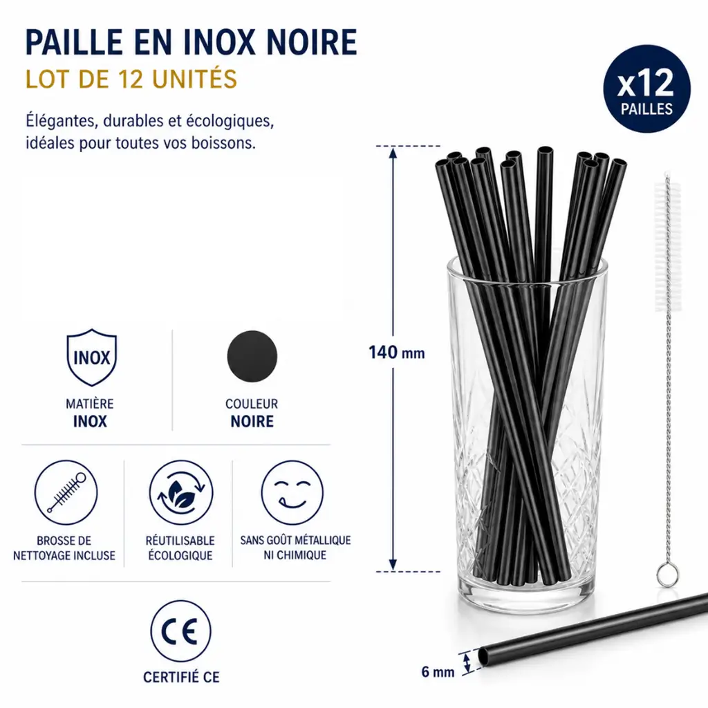 paille en inox noire