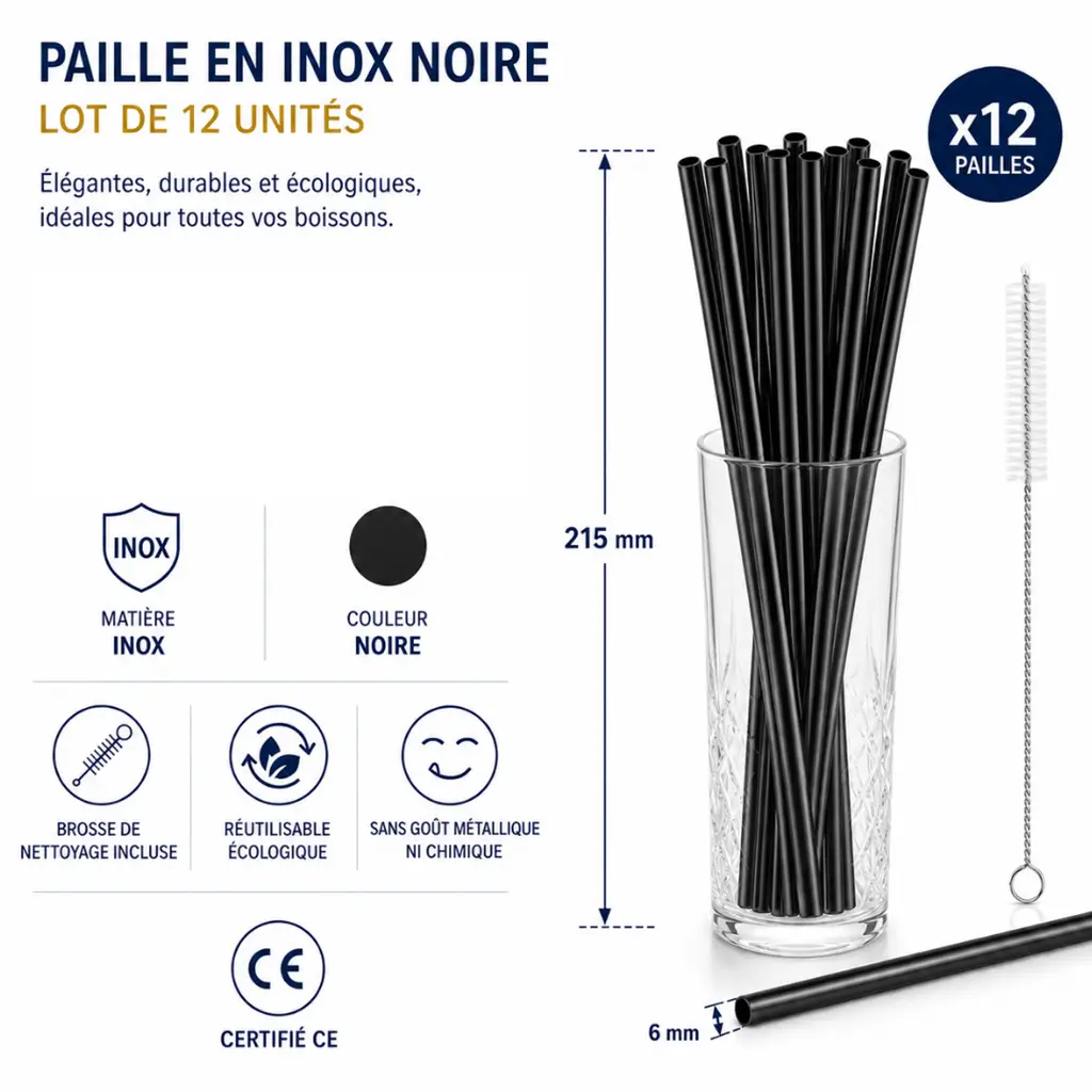 paille en inox noire