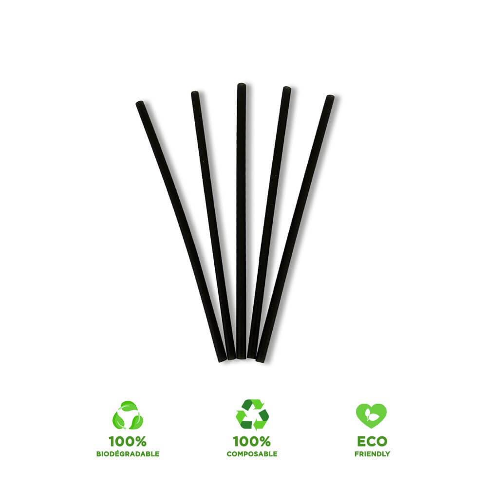 Mini Paille Biodégradable en Riz Noire - 260 Unités
