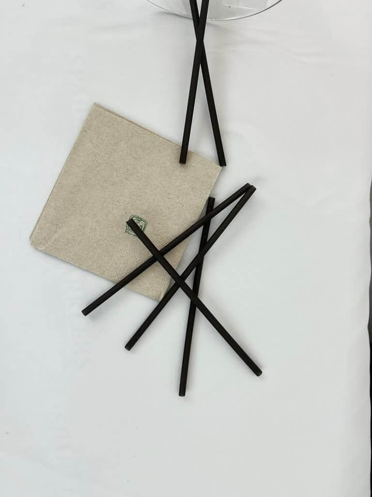 Mini Paille Biodégradable en Riz Noire - 260 Unités