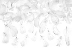 Plume de décoration - Blanc - 3g
