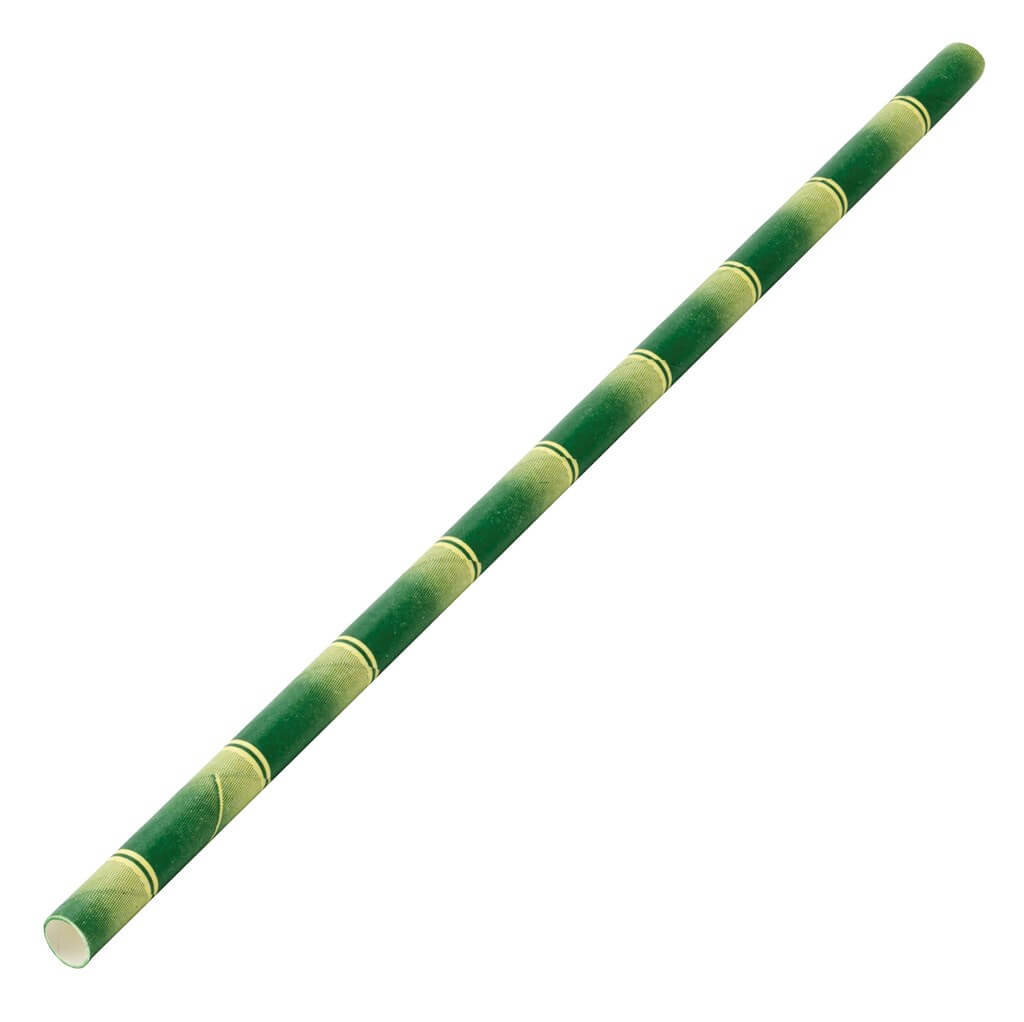 Paille papier bambou 20cm /ø6mm (250 pcs)