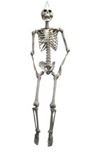 Squelette Géant à suspendre 200cm
