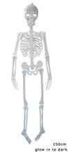 Squelette phosphorescent géant - 150cm