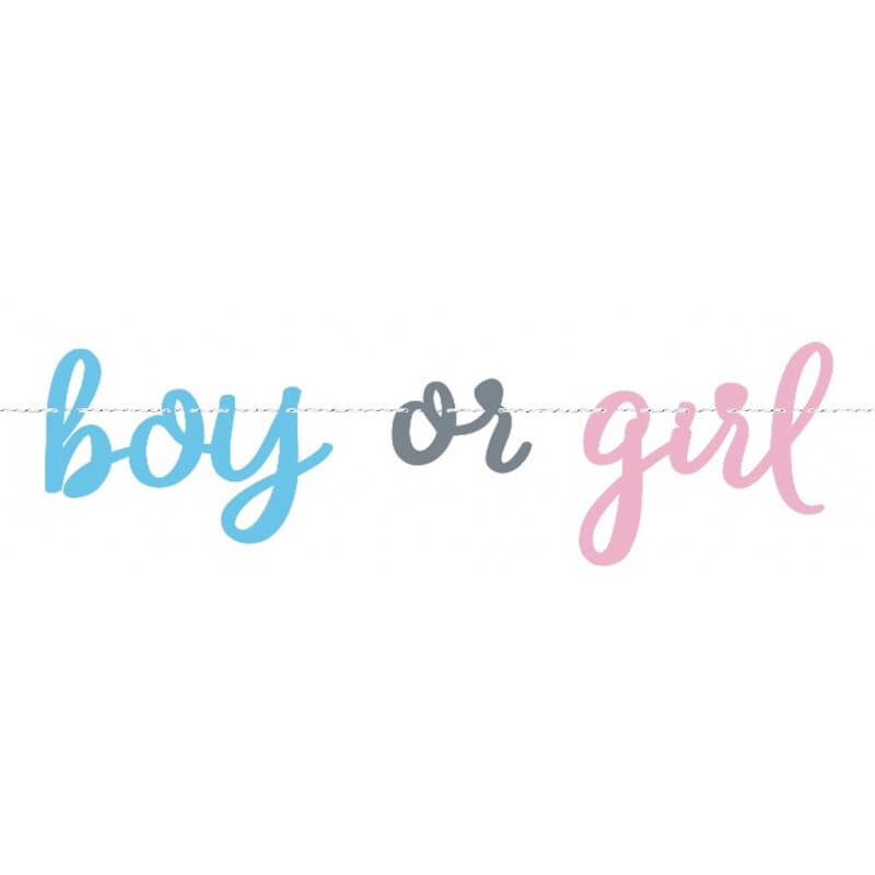 Guirlande en papier "Boy or Girl ?" - 213cm